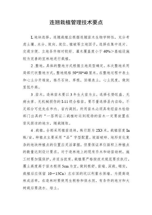 连翘栽植管理技术要点