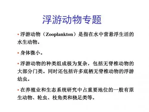 生物联赛课件——浮游动物