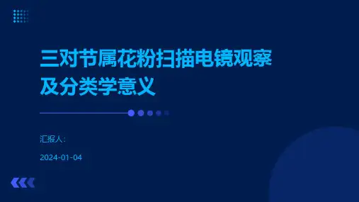三对节属花粉扫描电镜观察及分类学意义