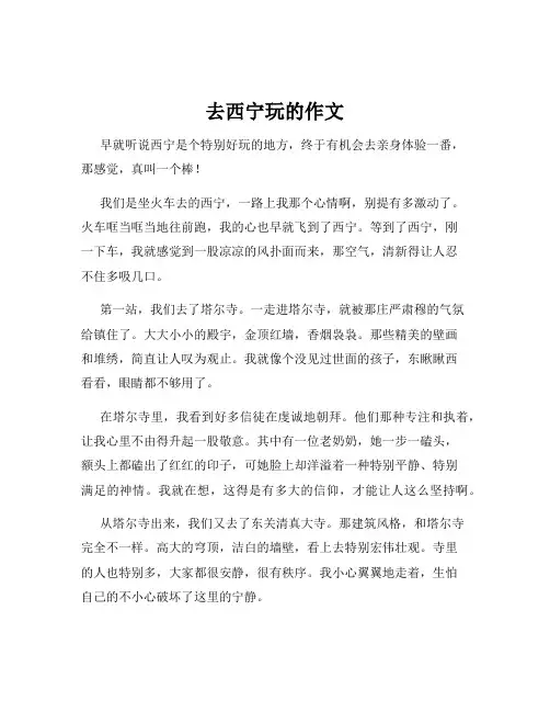 去西宁玩的作文