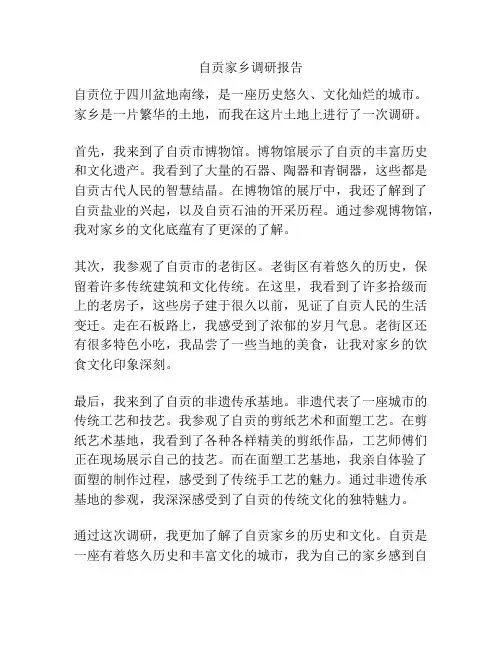 自贡家乡调研报告