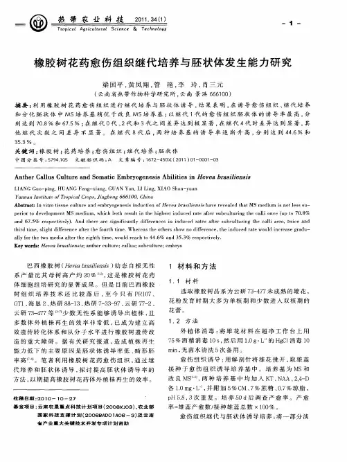 橡胶树花药愈伤组织继代培养与胚状体发生能力研究