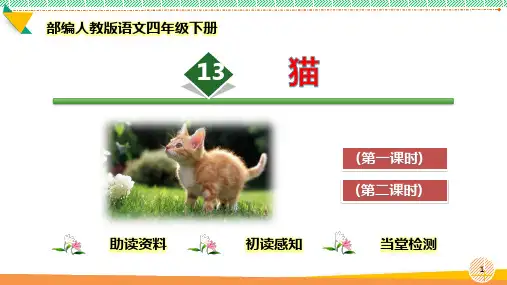 最新部编人教版语文四年级下册第13课《猫》优质课件