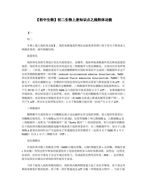 【初中生物】初二生物上册知识点之线粒体功能