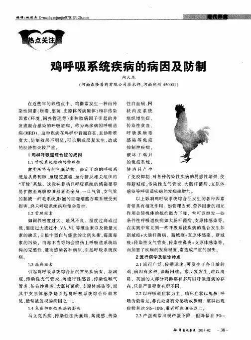 鸡呼吸系统疾病的病因及防制