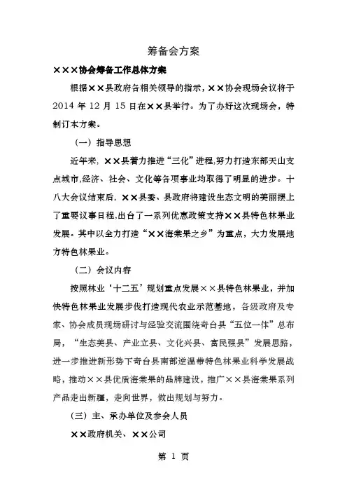 协会筹备方案