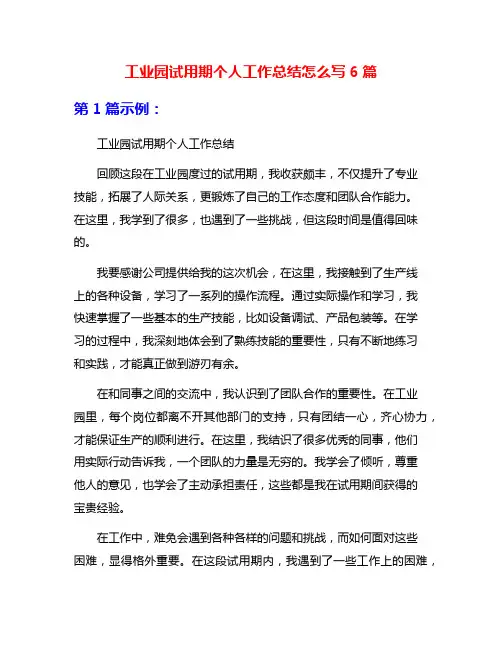 工业园试用期个人工作总结怎么写6篇