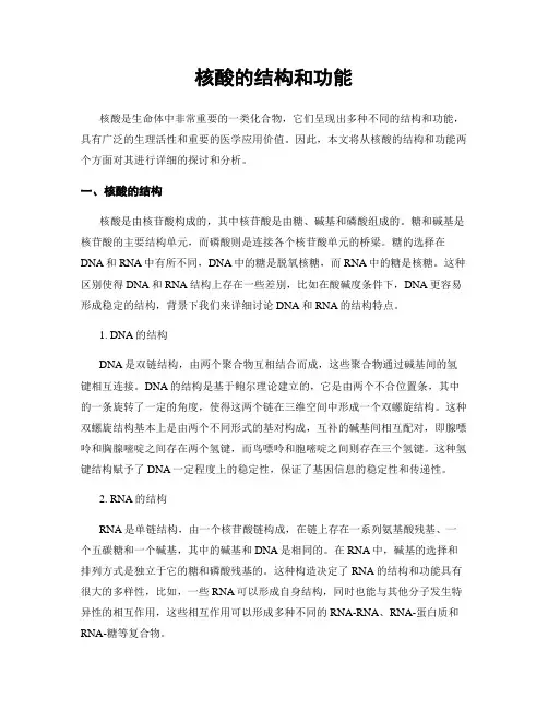 核酸的结构和功能