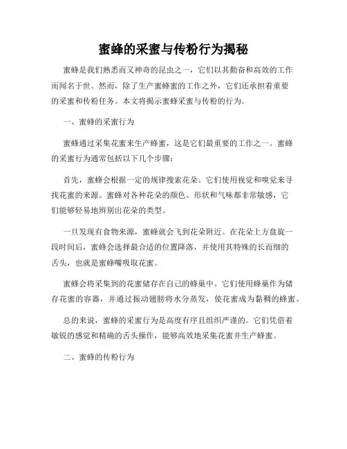 蜜蜂的采蜜与传粉行为揭秘