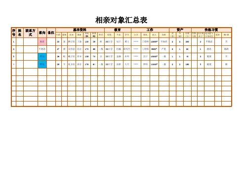 相亲对象汇总分析表Excel模板