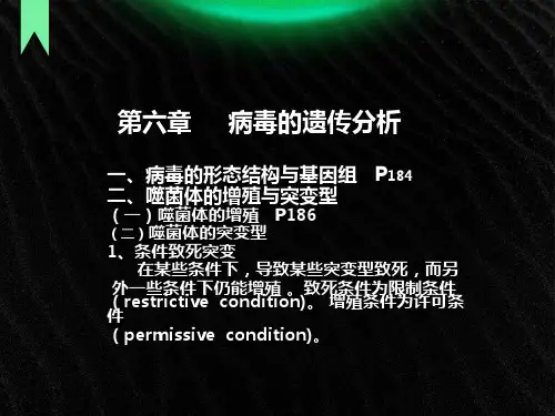 遗传学第六章病毒的遗传分析