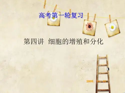 细胞的增殖和分化PPT教学课件