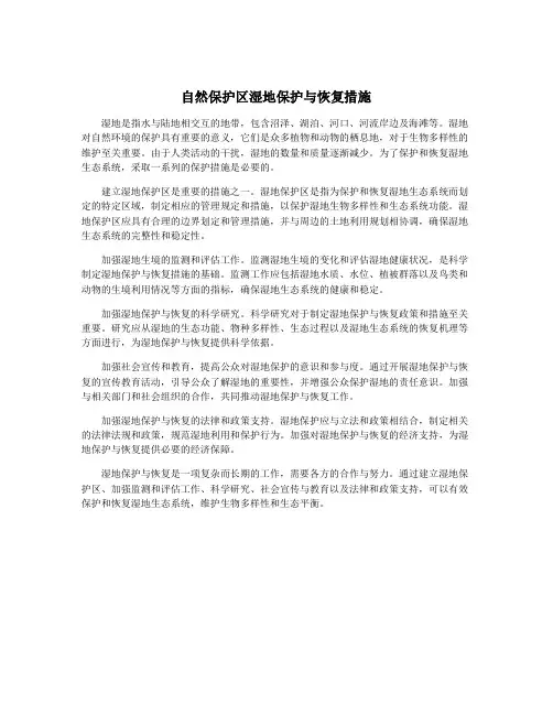 自然保护区湿地保护与恢复措施