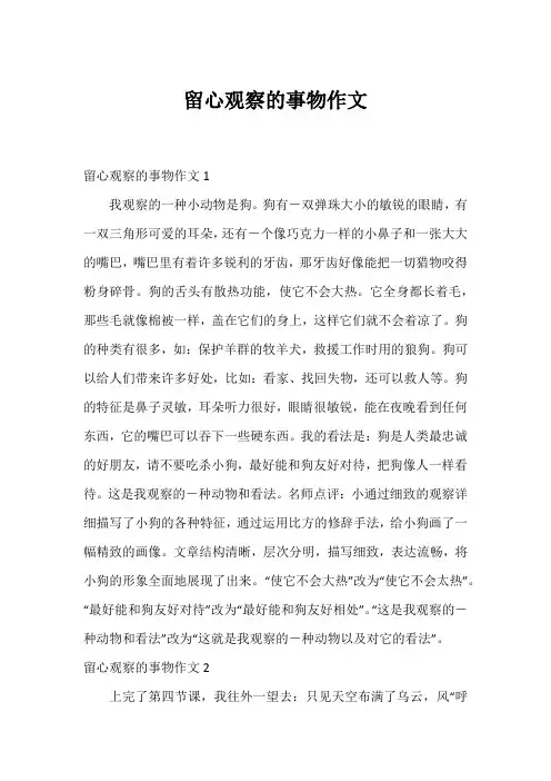 留心观察的事物作文
