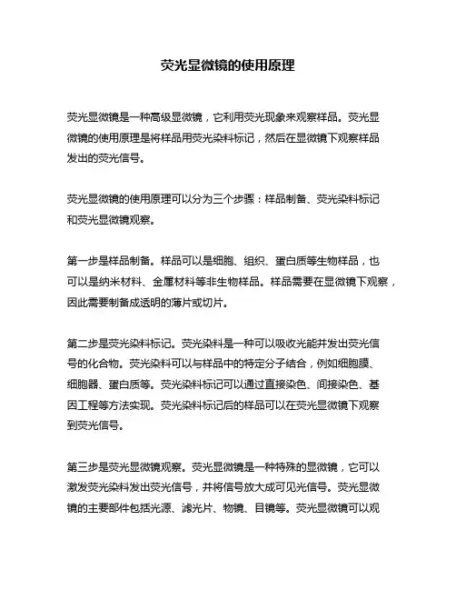 荧光显微镜的使用原理
