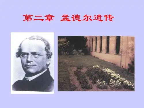 02第二章孟德尔遗传