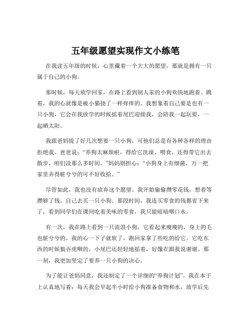 五年级愿望实现作文小练笔