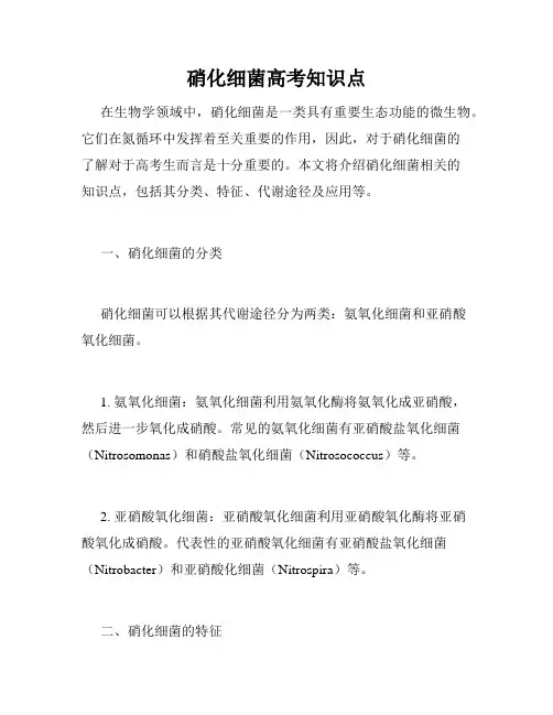 硝化细菌高考知识点