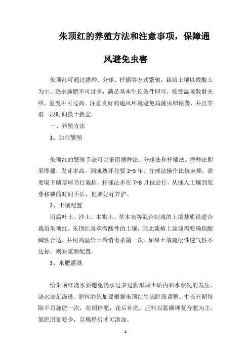 朱顶红的养殖方法和注意事项,保障通风避免虫害