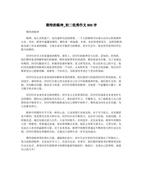 期待的眼神_初二优秀作文800字