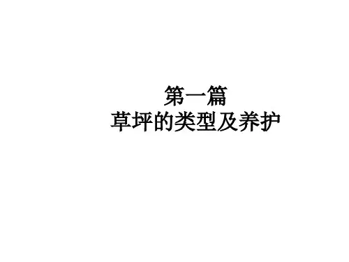 草坪的类型及养护