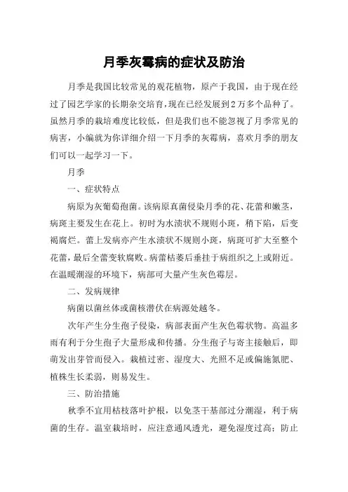 月季灰霉病的症状及防治
