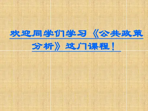 第六章 政策执行精编版