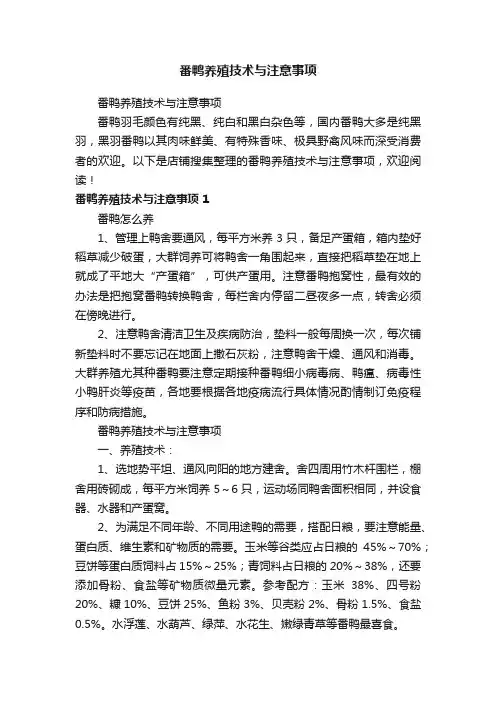 番鸭养殖技术与注意事项