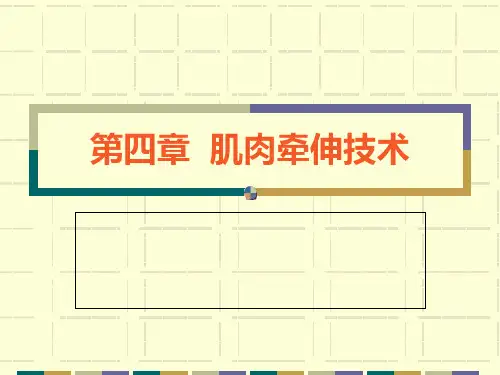 肌肉牵伸技术