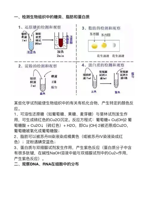 高考生物重点实验原理