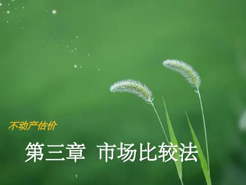市场比较法ppt课件