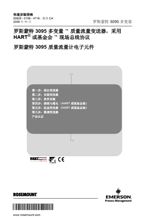 罗斯蒙特3095质量流量计快速安装指南