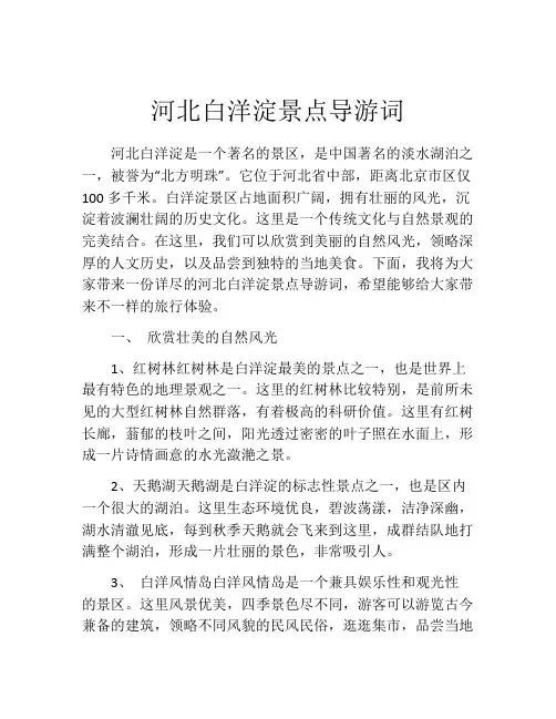 河北白洋淀景点导游词