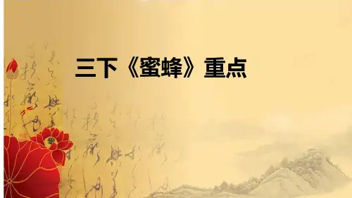 《蜜蜂》课件(共20张PPT)
