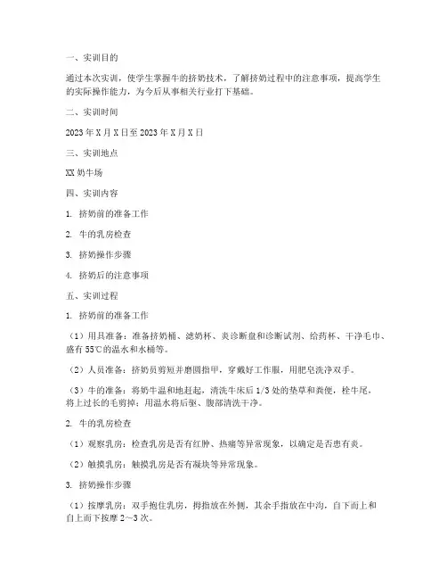 牛的挤奶技术的实训报告