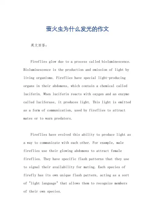萤火虫为什么发光的作文