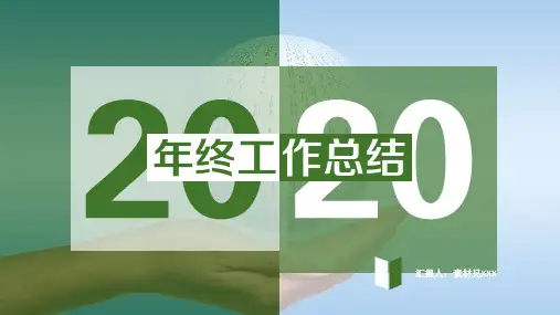 工作总结精选PPT模板 (9)