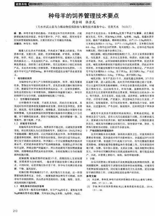 种母羊的饲养管理技术要点