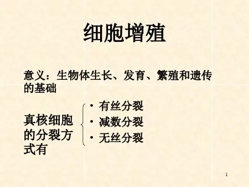 高中生物必修1有丝分裂ppt课件