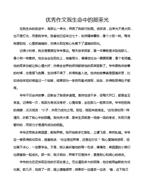 优秀作文我生命中的那束光