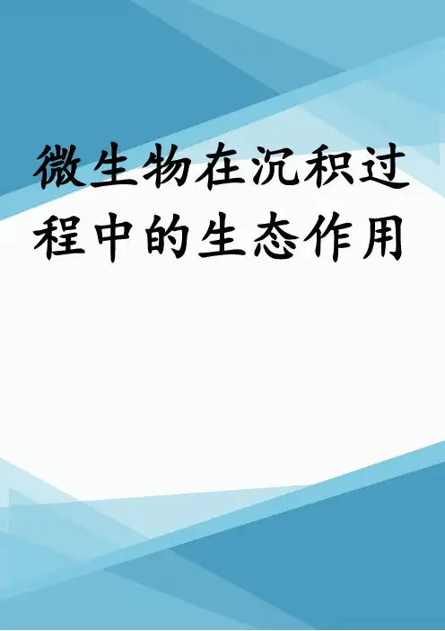 微生物在沉积过程中的生态作用