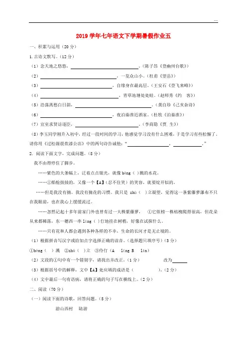 2020学年七年级语文下学期暑假作业五 新人教版新版 -新人教版