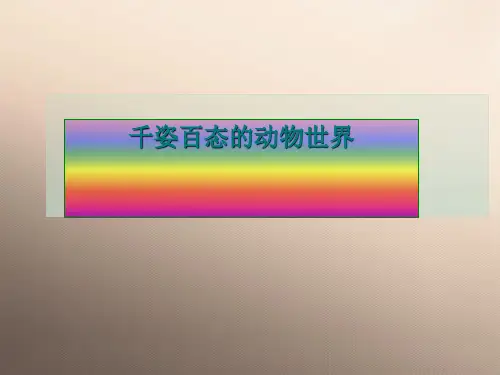 苏教版初中生物八上5. 14.2千姿百态的动物世界 课件 (共29张PPT)优秀课件