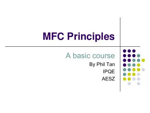 质量流量计介绍MFC Principle
