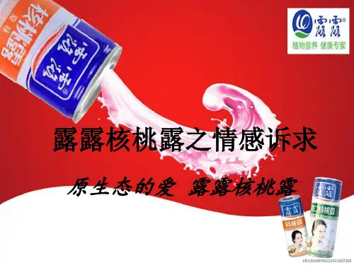 露露核桃露定位与诉求