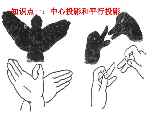 空间几何体的三视图和直观图课件