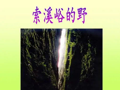 《索溪峪的“野”》课件