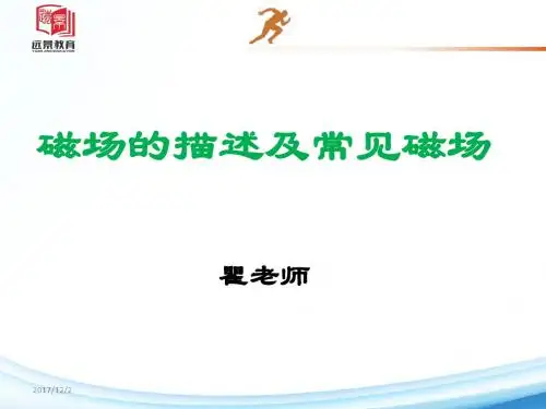 13.磁场的描述及常见磁场