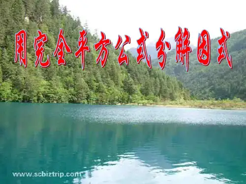 公式法因式分解2(完全平方公式)
