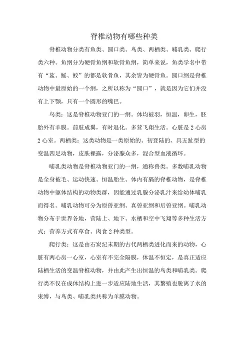 脊椎动物有哪些种类